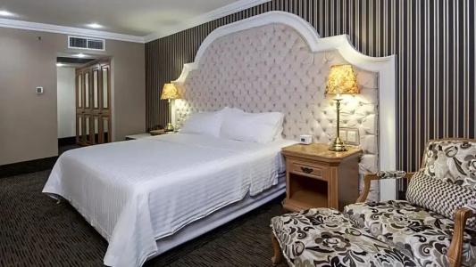 Holiday Inn Queretaro Centro Historico, An Ihg - 218