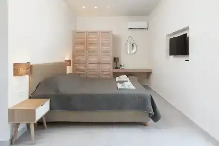 Stegna Dream - 100