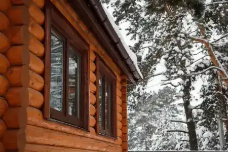 Сосны - 0