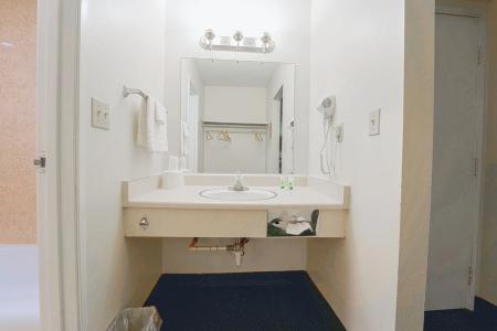 Royal Plaza Inn - 85