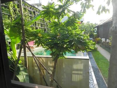 Baan Saen Fang Chiang Mai - Sha Plus - 149