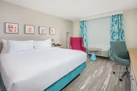 Hilton Garden Inn Houston Medical Center, Tx - 55