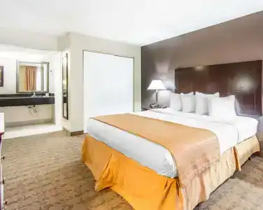 Quality Inn & Suites By the Parks - 6