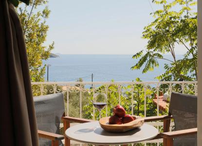 Irida Aegean View-Philians and Resorts - 60