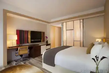 Hilton Club West 57th Street New York - 22