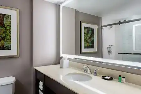 Sheraton Dallas - 56
