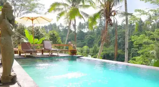 Doni House & Villas - 14