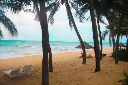 Vanda Phu Quoc - 19