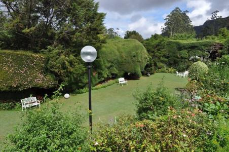 Royal Cocoon - Nuwara Eliya - 22