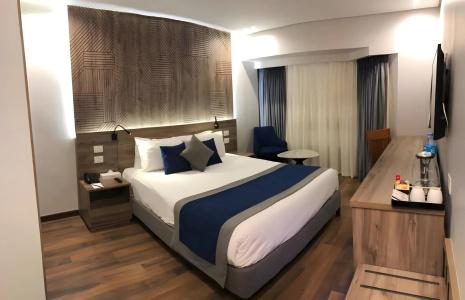 Pyramisa Suites Cairo - 15