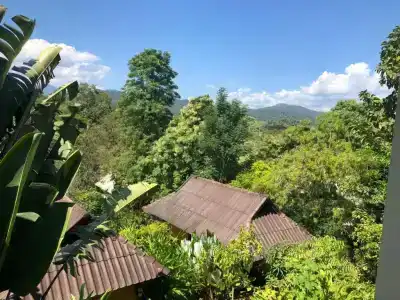 Pura Vida - 90