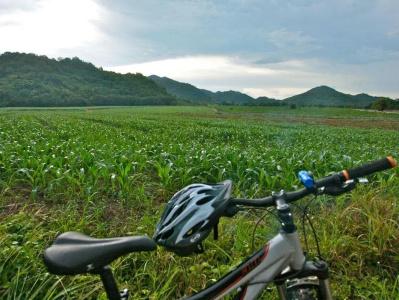 Ville De La Vie Khao Yai - 17