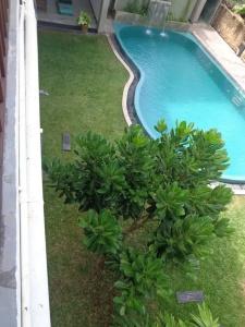 Star White - Negombo - 4