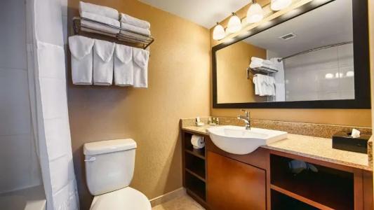 Best Western Plus Suites Downtown - 54