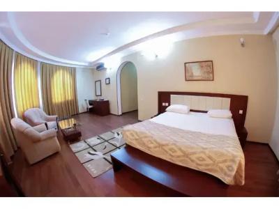 Vilesh Palace - 26