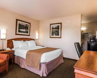 Quality Inn - 49