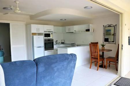 Noosa River Palms - 155