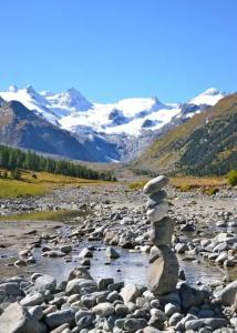 Roseg-Gletscher - 33