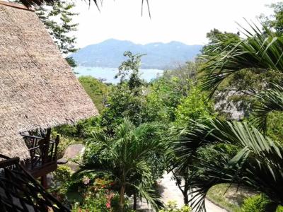 Koh Tao Royal Resort - 42
