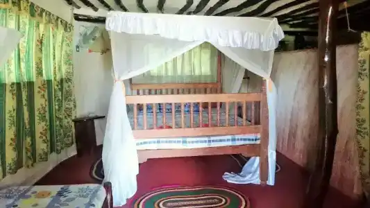 Evergreen Bungalows - 117
