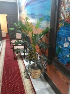 Paradise Boutique - 12
