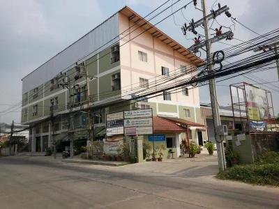 Freesia Bangphi - 37