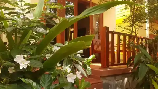 Free Beach Resort - 87