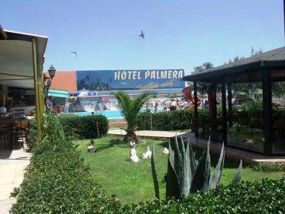 Palmera - 20