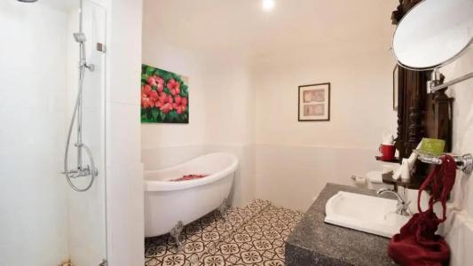 Mane Colonial Classic - 79