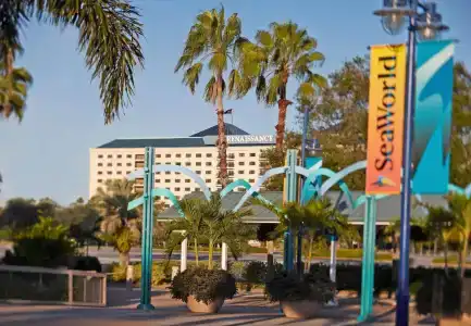 Renaissance Orlando at SeaWorld® - 16
