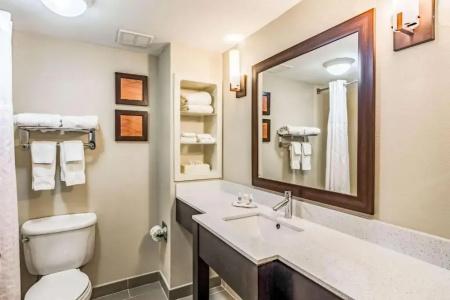 Comfort Inn & Suites West - Lookout Mountain - 37