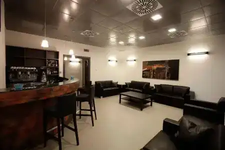 Artis - 1