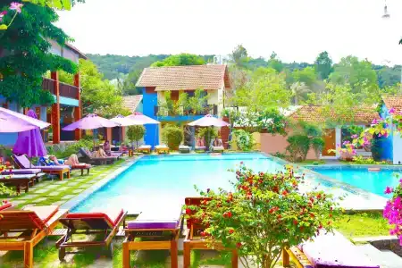 Daisy Resort - 50