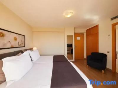 Sercotel Zurbarán - 104