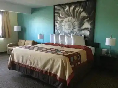 Super 8 by Wyndham/St. Petersburg Airport - 17