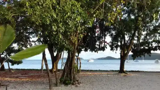 The Mooring Resort - 57