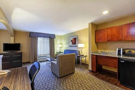 Holiday Inn Express & Suites Houston-Downtown Convention Center, An Ihg - 70