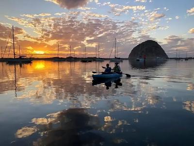 Estero Inn - 131