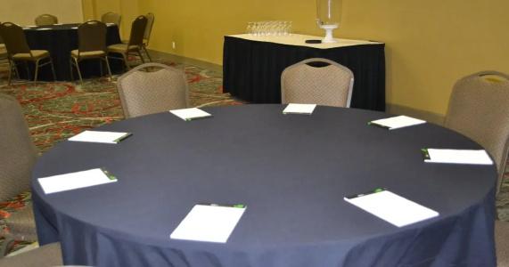 Holiday Inn Houston s - Nrg Area - Med Ctr, An Ihg - 11