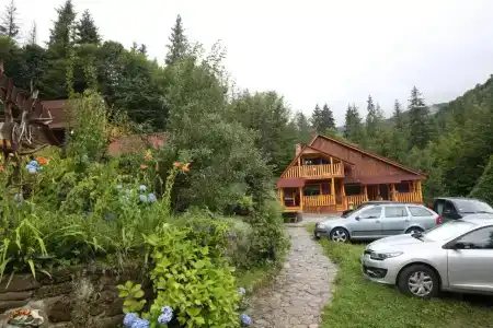 Zarinok - 29