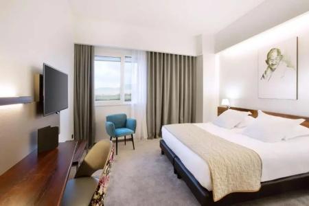 Best Western Hôtel Journel Antibes Juan-les-Pins - 75