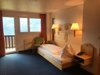 Bellevue-Wengen - Best view in town! - 31