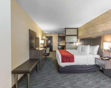Comfort Inn & Suites Airport North - 5