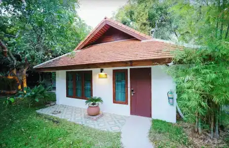 Mango T. Villa Chiangmai - 110
