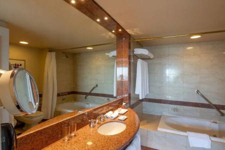 Sheraton Cordoba - 47