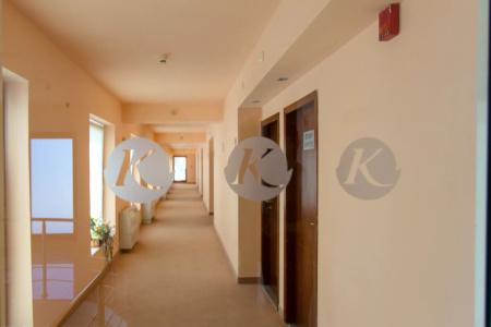 Koral - Free Parking - 13