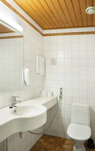 Laplands Riekonlinna - 65