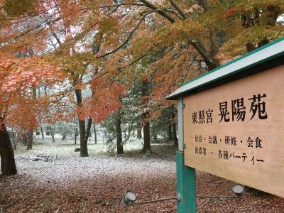 Nikko Toshogu Koyoen - 10