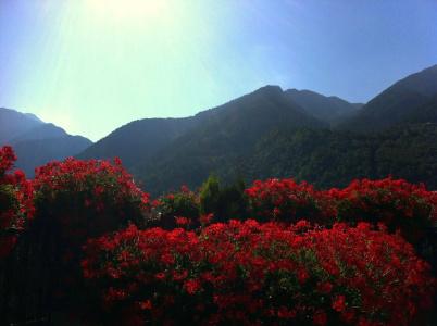 Pyrénées - 22