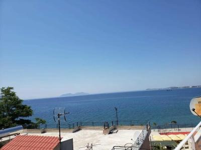 Nacional Vlore - 35